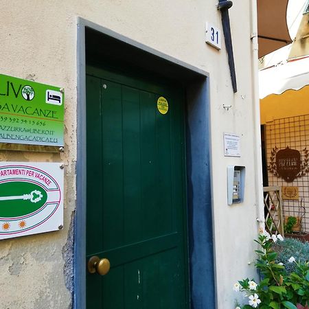 Casa Vacanza L'Ulivo Albenga Zewnętrze zdjęcie